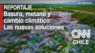 Basura, gas metano y crisis climática: Cómo el compostaje y el biogás pueden marcar la diferencia