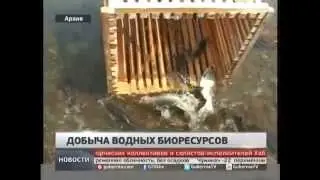 Добыча водных биоресурсов. Новости. GuberniaTV