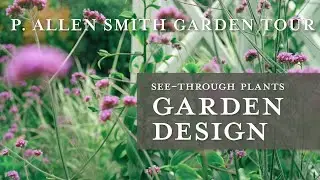 Garden Design - Using See-Through Plants