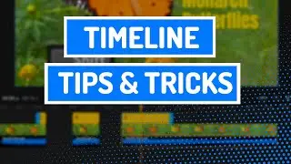 Timeline Tips and Tricks | How to edit videos faster & be more productive | Flixier