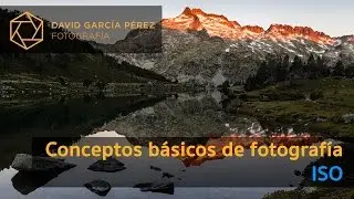 Conceptos Básicos de Fotografía: ISO