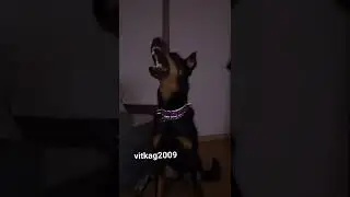 Заказ эдит (босерон) 💕жду подписки!🤗❤ Спасибо огромное за Актив!!!!!!💕💓❤😘😘