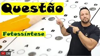 Fotossíntese - Etapas e Processos - Bioenergética - Questão