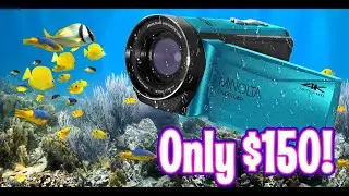 Cheap 150 dollar Camcorder goes Underwater, Motion Activated Security cam