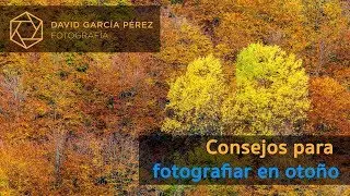 Consejos para fotografiar en Otoño