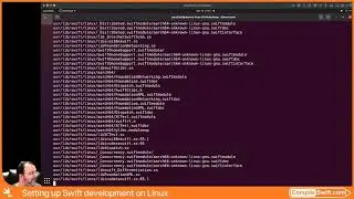 Settings up Swift on Linux