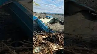 A FIND IN THE TAIGA BACKGROUND ON THE RIVER SHORE. 