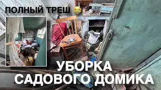 2 УБОРКА САДОВОГО ДОМИКА. Мой шок в шоке