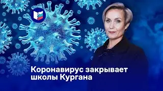 Коронавирус закрывает школы Кургана