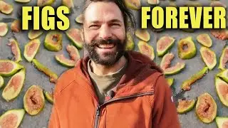 How To Make Figs Last Forever | Hazen Audel