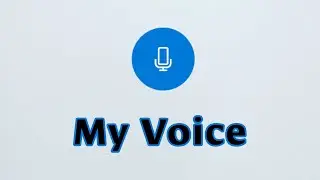 My Voice