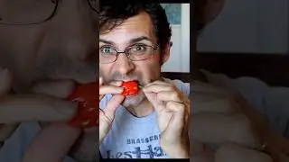 I Ate One of The World's HOTTEST Peppers! (...with the heat removed)