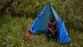 I Spent 24 Hours in the Jungle and Learned the BEST Bushcraft Shelter Secrets (solo camping)