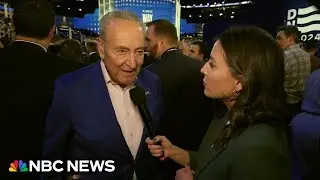 Schumer comments on push for Palestinian speaker at DNC