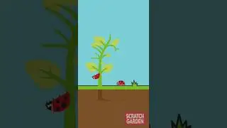 Learning about plants with an upside down ladybug! #scratchgardensongs #botany #sciencesong