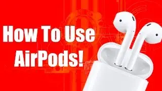 Apple AirPod User Guide and Tutorial!