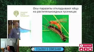 ДНК риса и пшеницы сложнее чем у человека, как растения защищаются от травоядных