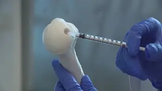 Chicago scientists develop revolutionary cartilage regeneration technology