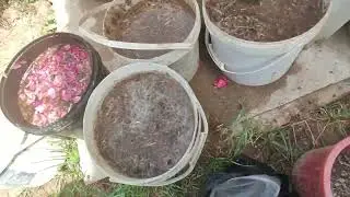 Удобрение осылай таярлаймыз.Пайдасы болады.Бау бахша үшін.
