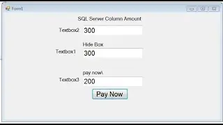 Accounting Text Box in VB.NET