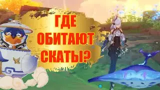 СКАТЫ ЭНКАНОМИЯ GENSHIN INPACT