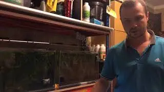 Мини ферма для аманок.Стеллаж,свет,ловушка для личинок./Mini farm for amano shrimp. Aquarium devices