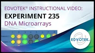 Edvotek Kit #235 - DNA Microarrays