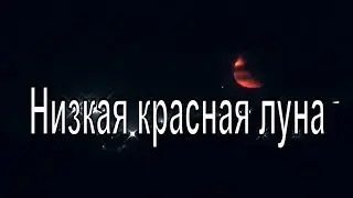 Огромная  луна низко над домами.Новосибирская область. Посёлок Горный. Красная луна.