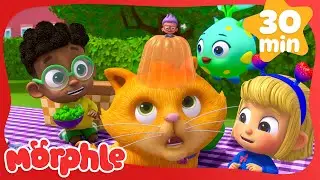 Teeny Tiny Picnic Panic | Morphle |Science and Nature Cartoons For Kids| Moonbug Kids