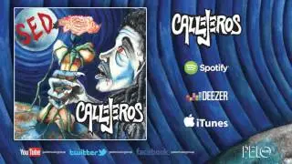 SED - CALLEJEROS 