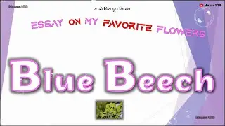 Blue Beech Flower | Essay On Blue Beech Flower | My Favorite Flower Blue Beech | Blue Beech Benefits