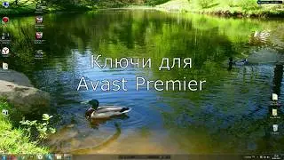 Вечный ключ Avast Premier