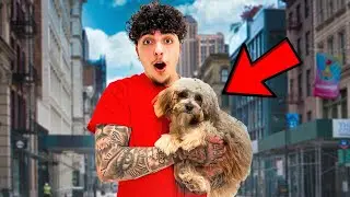 WE SAVED A PUPPY’S LIFE!! *REHOMING HIM*