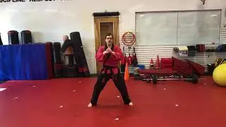 American Kenpo: Long Form 2