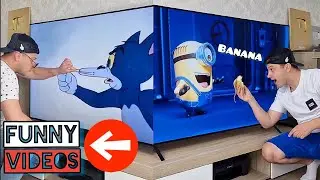 Try Not To Laugh 🤭 Best Funny Moments 🤣 MEMES