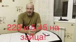 5.45, 22lr и 223 рем на зайца, на лису любой калибр!