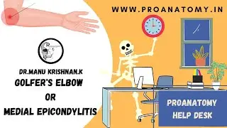 Golfer's elbow/ Medial epicondylitis- Clinical anatomy made easy