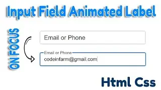 Input field label animation effect with css using focus within property | html css projects 2021