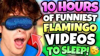 *10 HOURS* OF “FUNNIEST” FLAMINGO VIDEOS TO FALL ASLEEP! (ROBLOX/MARATHON)