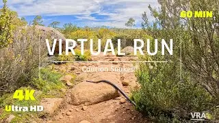 Virtual Running Video Treadmill 4K - 60min Treadmill Workout - Scenery | The Walls | Running Videos