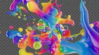 Paint Splash Motion Graphics