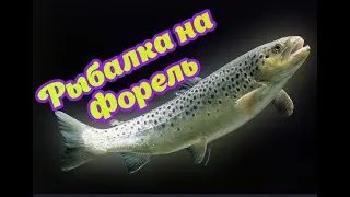 Рыбалка на платной рыбалке московская область. Форель.