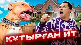 АПКЕШКА И БРАТИШКА | 29-сезон | ҚҰТЫРҒАН ИТ😱