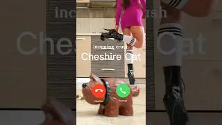 Cheshire Cat vs. Dog! Boots Crushing Toys! Oddly Satisfying! ASMR