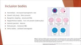 Introduction to haematology and anaemia