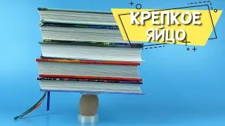 Какой вес может выдержать сырое яйцо? Опыт с яйцом для детей