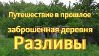 Путешествие в прошлое заброшенная деревня Разливы.  Новосибирская область. Тогучинский район.