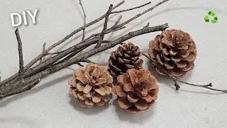 I make MANY and SELL them all! Genius Recycling Idea with Pine cone and tree branch - Amazing trick