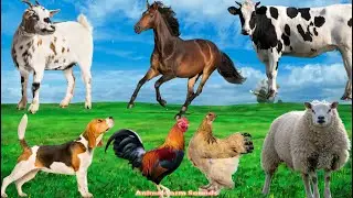 Animal Habitats: Cow, Chicken, Dog, Elephant, Horse - Familiar Animals