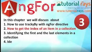 ngFor Find Index -  How to find index in given element  in Angular | Angular 7/8 Tutorials